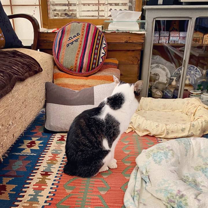 45282eb5 4b76 4916 b980 5e5bbfd9db65 1607901813417