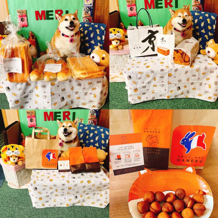 45287ff6 ea63 4347 abf2 c4939631380d 1652861739810