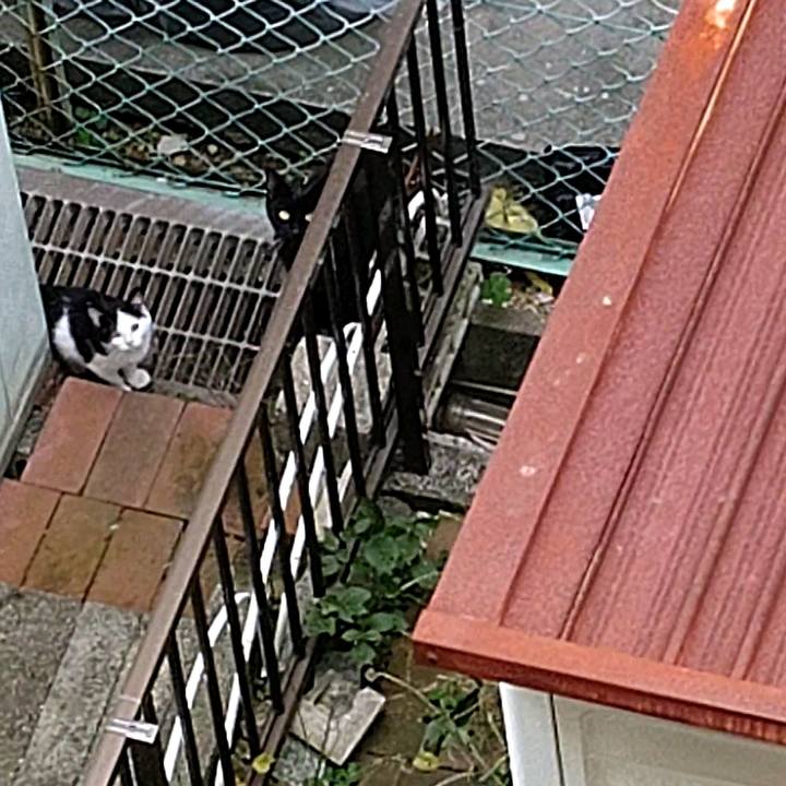 4528b5c3 8a7e 46a5 b1eb 47e439c3929c 1604620435432