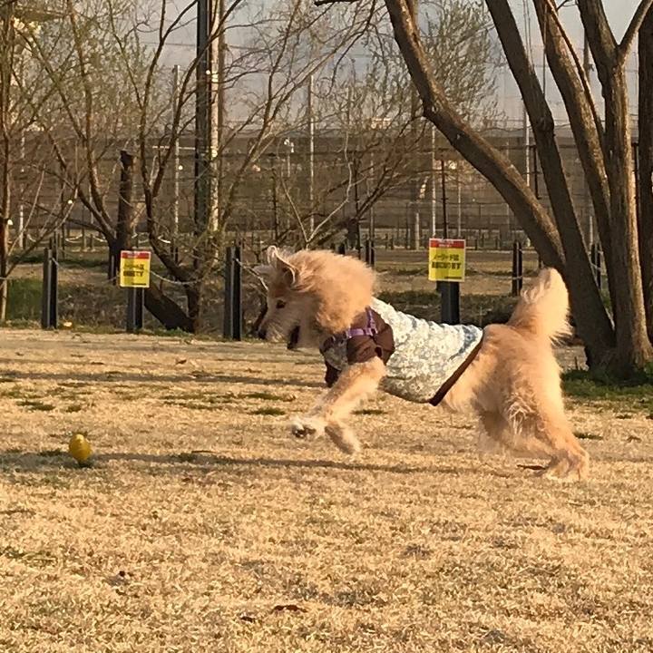 4528bfc7 34aa 444e 99b2 55549d6d2712 1552815352829