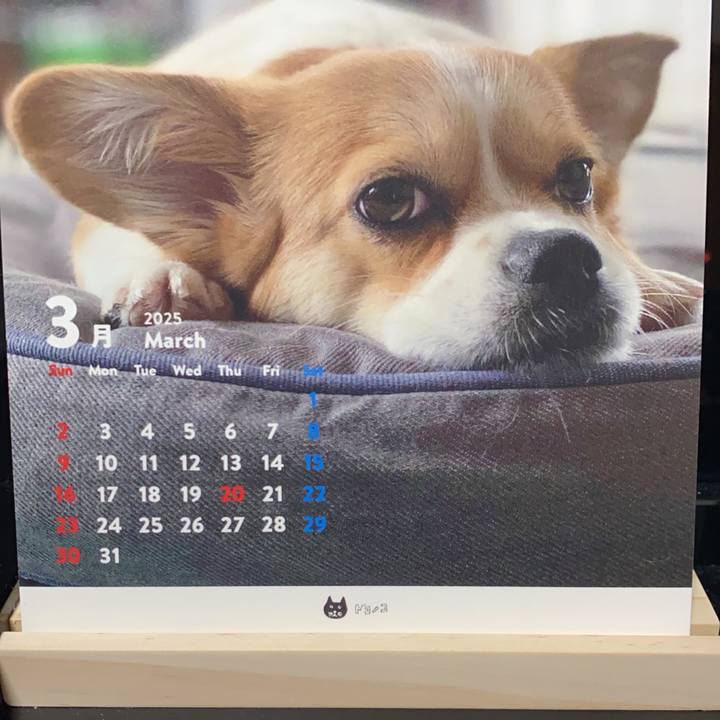 4528d65b 6bed 49cb bfd8 eac489f02073 1741872730779