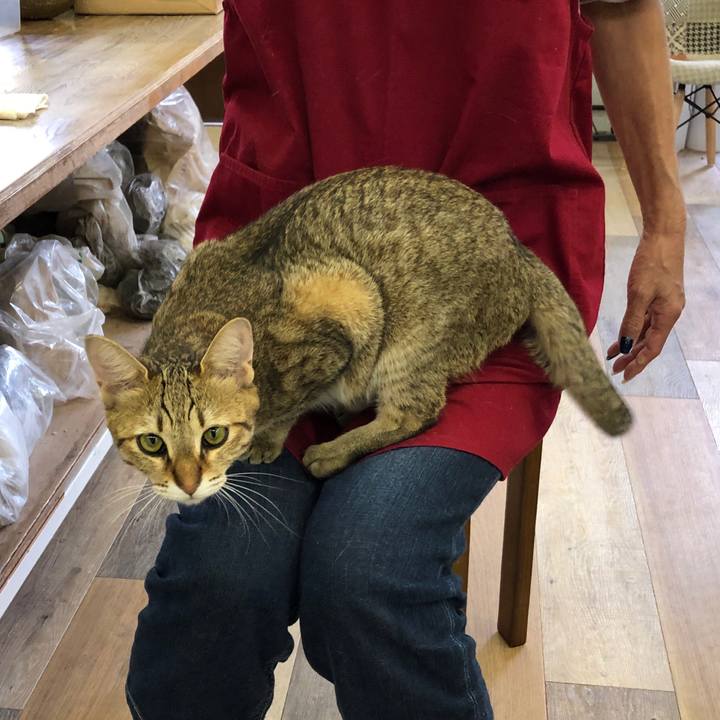 4528fd9f 6da9 42d4 a030 49b37f800a43 1595671640761