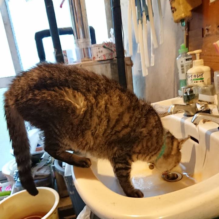 452907c8 25e7 4b3f 8f44 33179a61085c 1571694522109