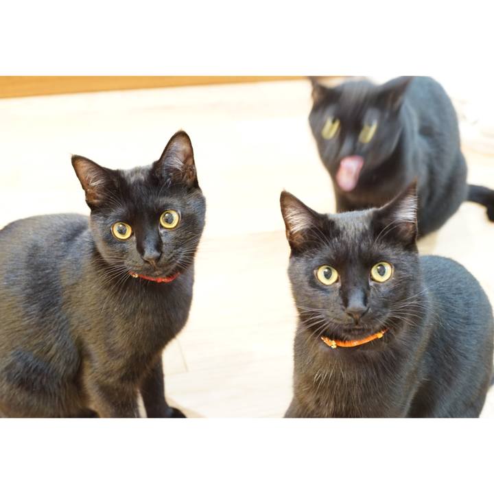 452914ea a7df 410a 9591 65575b8d25a5 1521812583333