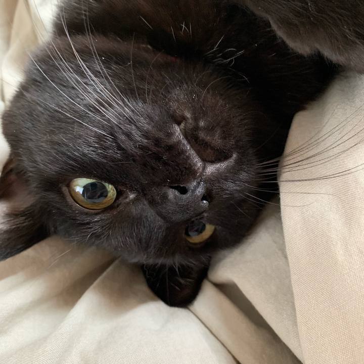 45294a28 6868 40e1 b5a5 f67642531b55 1557354177306