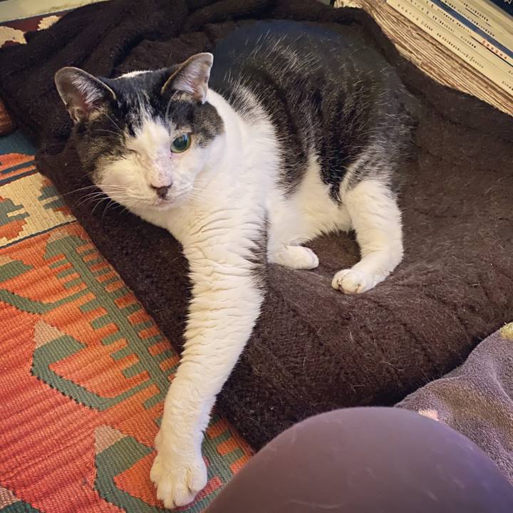 45294b83 58d3 4232 8755 042c516deaa3 1587392746358