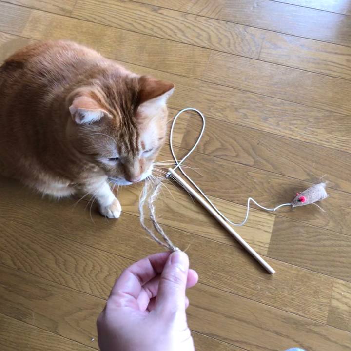 45295607 4be4 46ed 9c87 1fb9973dde6d 1595555371576