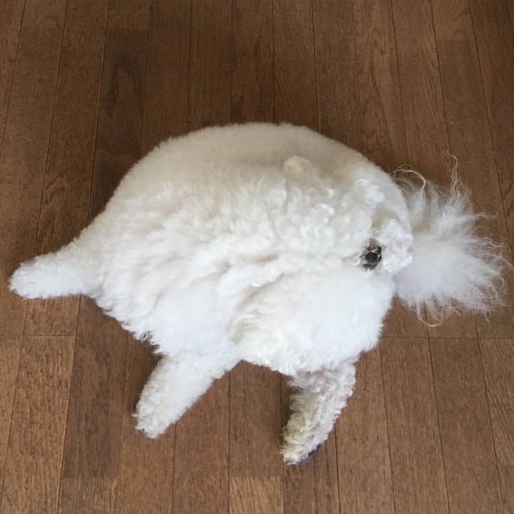 45295906 619b 4e9c b05b 869a8560e784 1532992387255