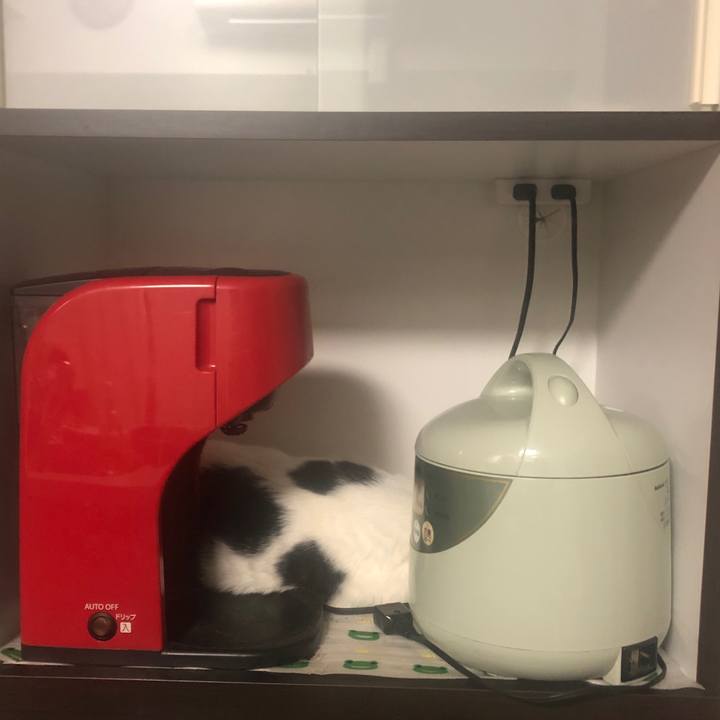 4529769d 9f44 43a8 8242 8bce7895b51f 1586699203356