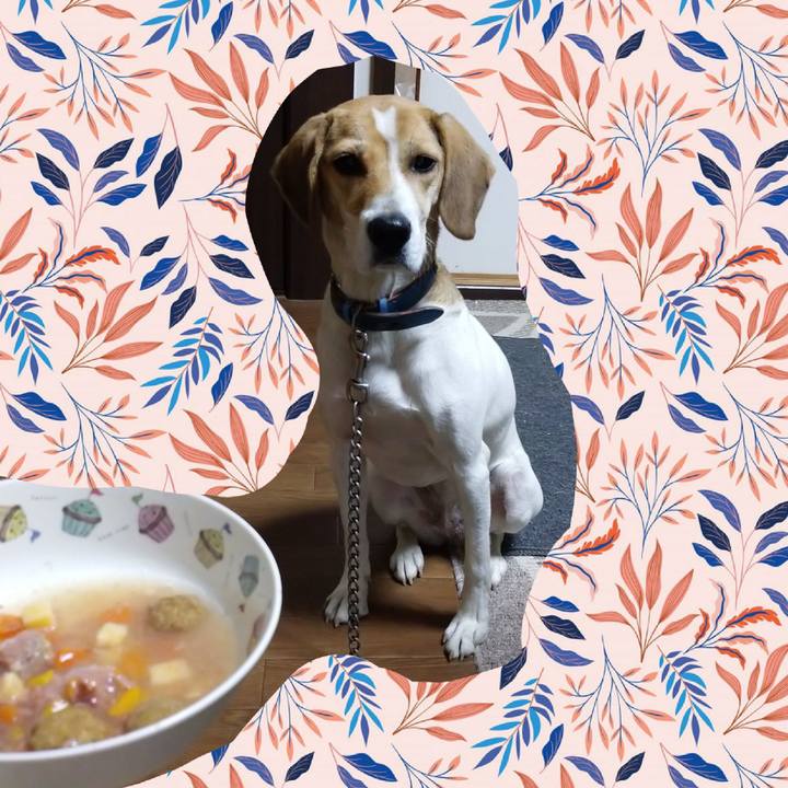 45298428 d837 469b be83 466f6e25da89 1606118179507