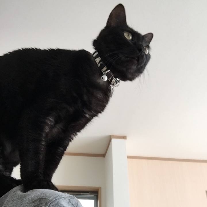 4529c868 0b83 4833 9ccb da920d7c8875 1517218725682