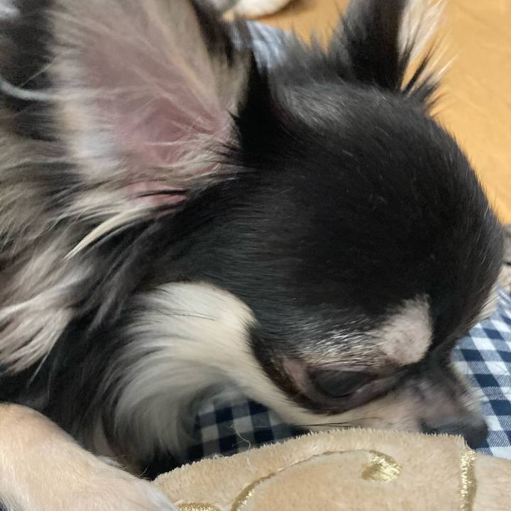 4529fd00 d8a5 4a12 9cd4 401bf296d1b0 1607179525059