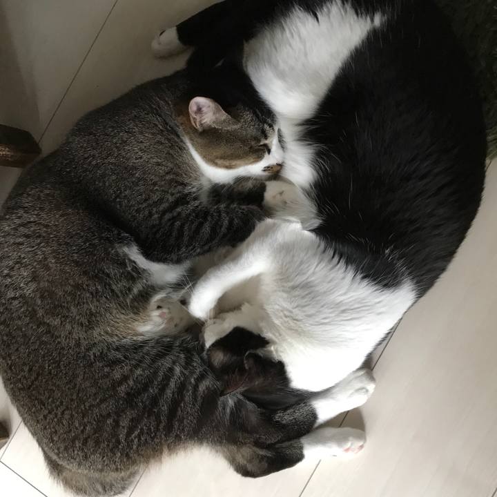 4529ffed d289 4ea7 996e eba77471a531 1508487503932