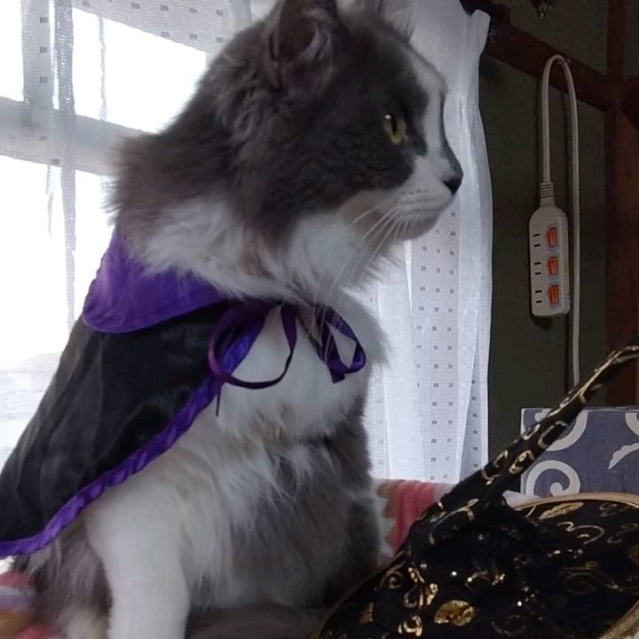 452a1f75 cf14 492d 9e15 acde4c580751 1635060487970