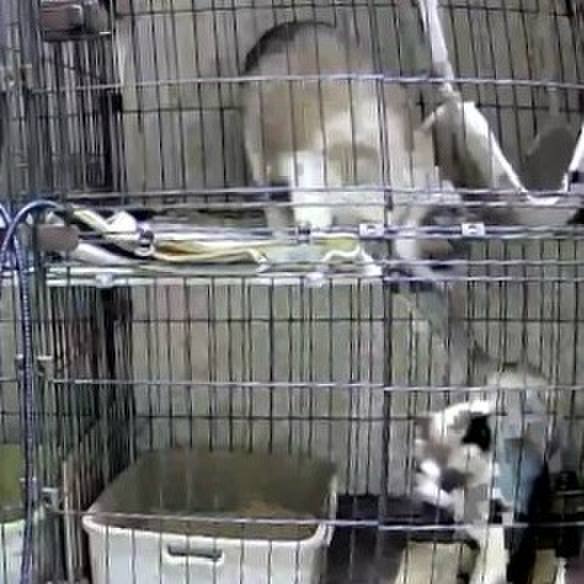 452a2163 c38b 4a9c 9dc3 f9927b9a2cb3 1771190017824