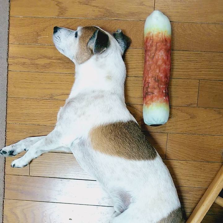 452a3e37 9b86 489e 9cca f9ca01271609 1534466406970