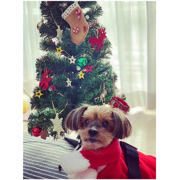 452a42b2 ca1d 457f afff 089d256d918b 1640390619022