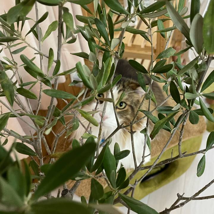 452a4aac 1ebd 4cd3 a05a 8e078652415c 1708113682775