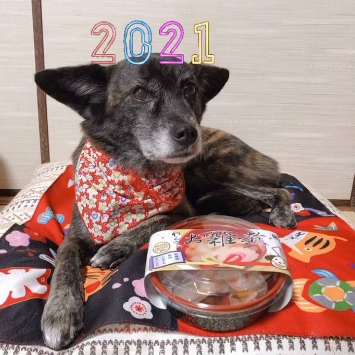 452aac4a 7c44 43d0 bff5 470da19afef7 1609462765160