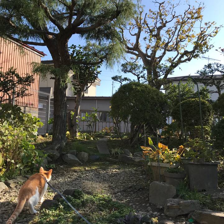 452ab0f2 e2ae 4882 97b5 1c001f4fe0bc 1509339035069