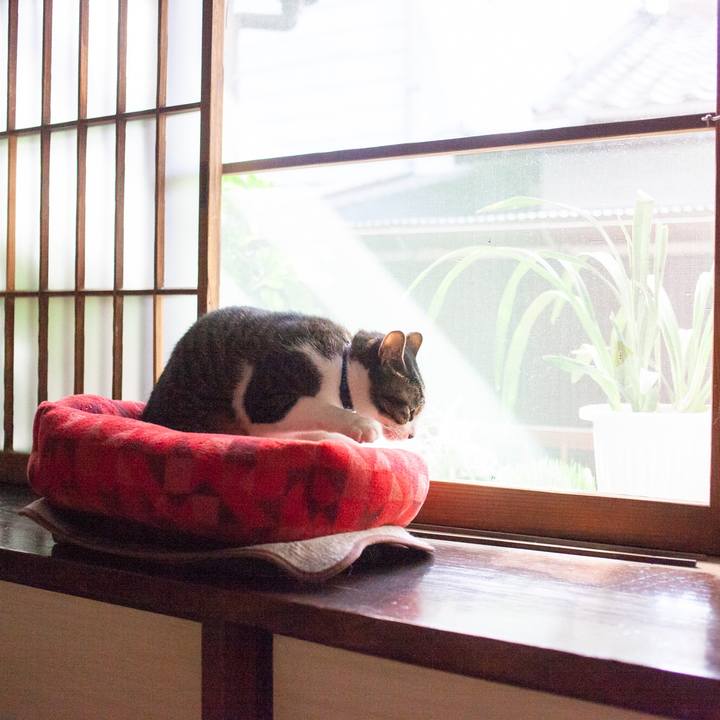 452ae3f0 96bd 4eba adf7 20742318478b 1573277329937