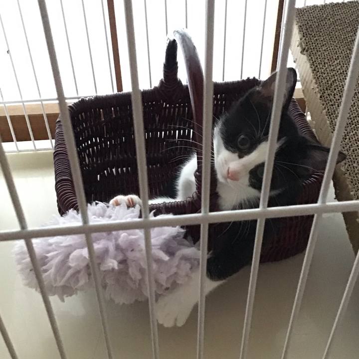 452b0e93 af43 47b2 8397 7fc8e0553f48 1625359306140