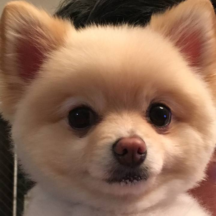 452b4c6f 0be3 4778 859c fe5d612228df 1523277030225