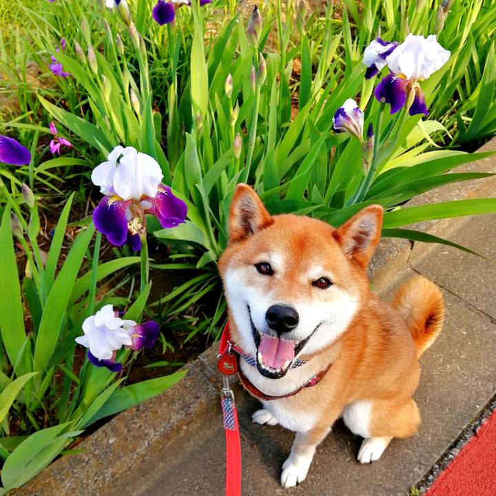 452b50f0 5c32 4f0b 953f 0bb7485466be 1652255288344