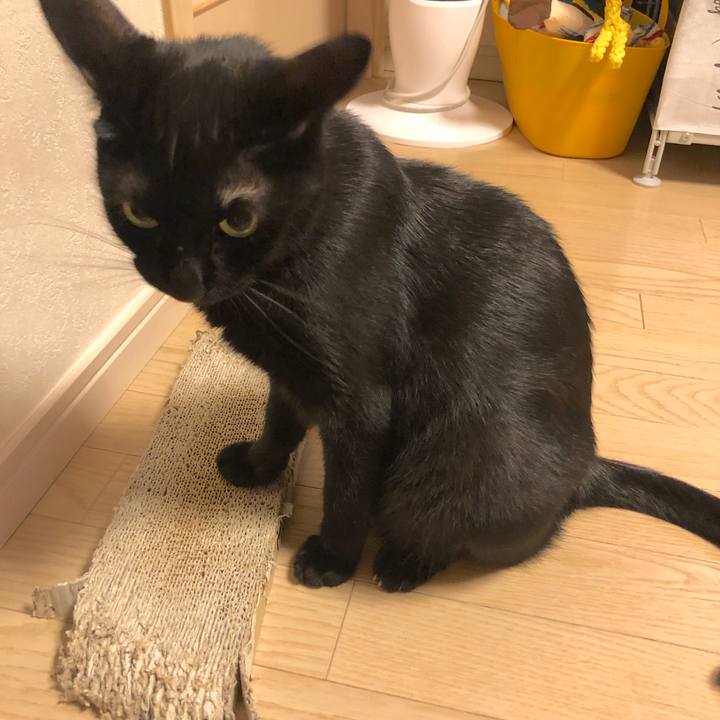 452b58f4 c8a7 469c 96c9 e6922c6756b3 1564665125916