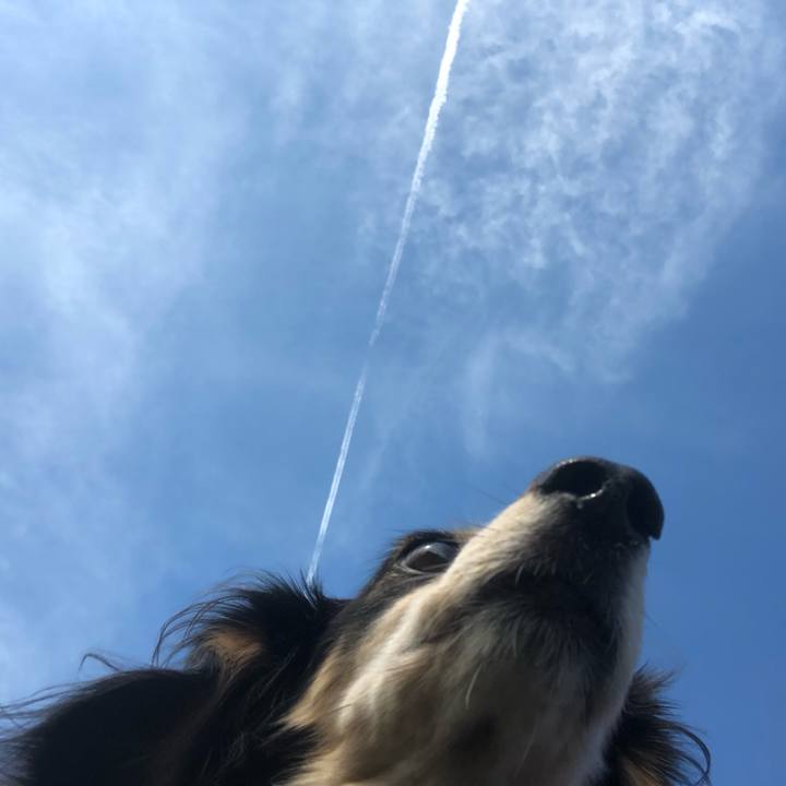 452bdfbf af96 4ec8 9760 b058807a5dc3 1600819920948