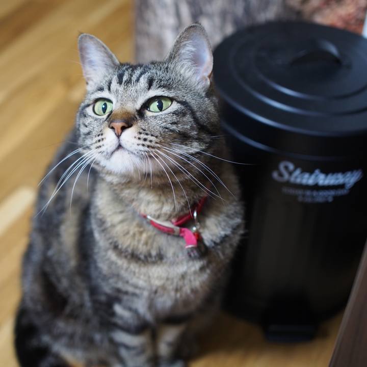 452bec2a 7956 492b a9a1 c8349e63e8de 1592716281743