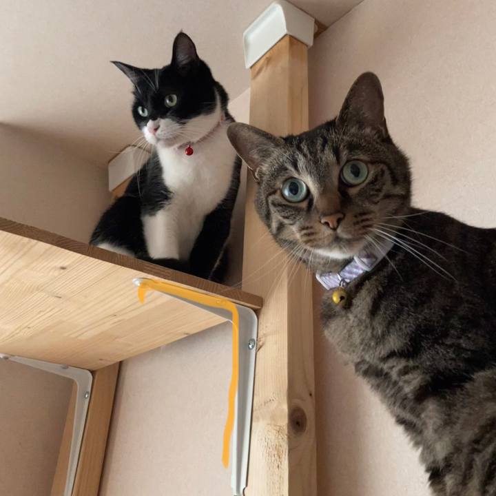 452bf6de 04a2 4b4f bd3a ef7aa1486189 1686121211331