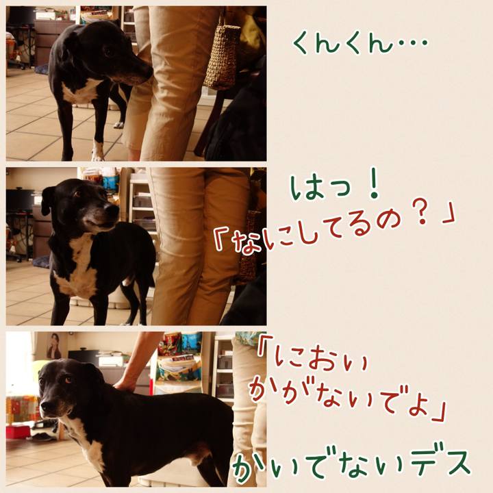 452c1dd3 accc 48b5 a2e2 45a50ec7bcc9 1752279096729