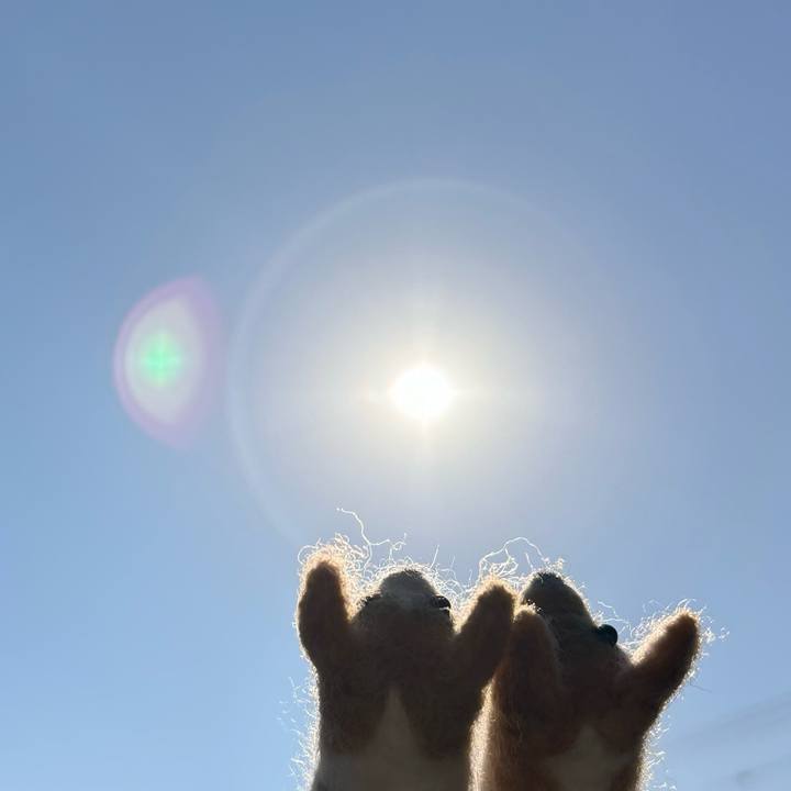 452c4454 37ae 4e23 a4eb 8e0649d36d0f 1763354360481