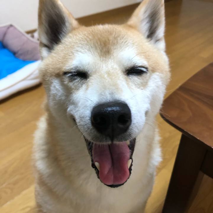 452c4b61 60aa 4fed a983 cbd854764a1f 1598329678027