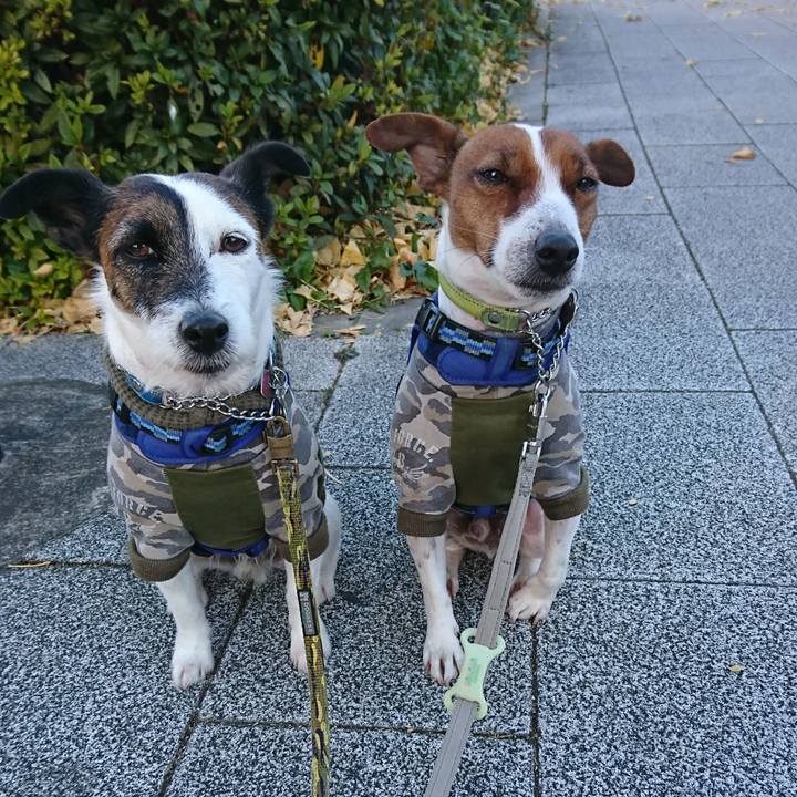 452c4c07 ad6c 4f66 b145 d330cd4c5e6d 1609544494438