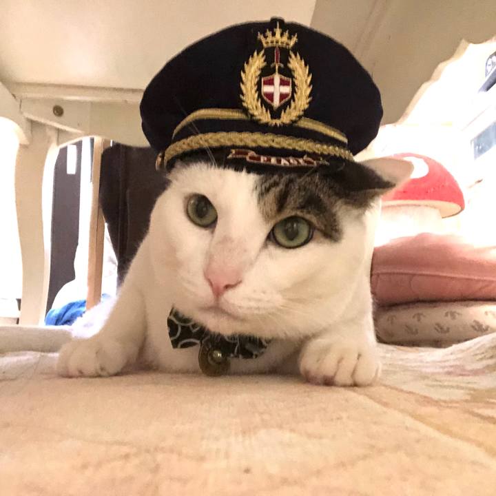 452c5133 8366 410a b060 e24f68b6fa3b 1597559071138