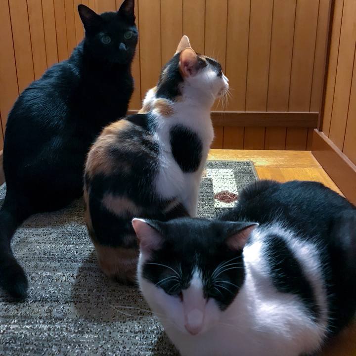 452c5913 8e05 4c42 966f 07d012977b83 1509064821663