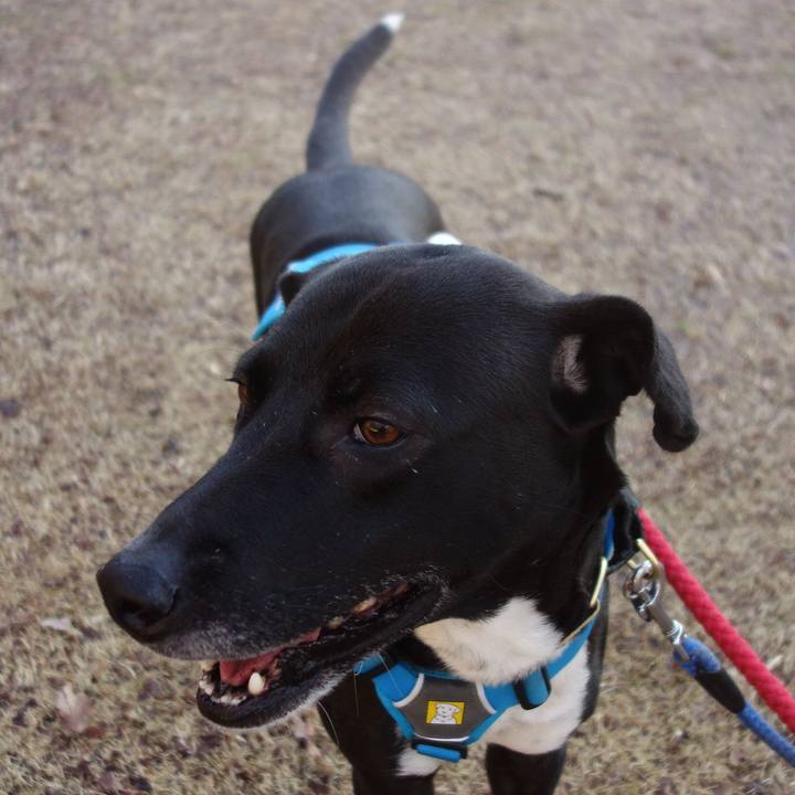 452c5ac2 5737 490a 86f4 21e5202bf068 1613435585422