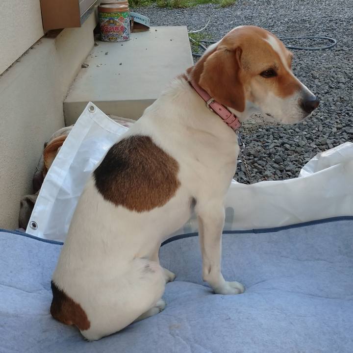 452c6798 d0bf 4b44 be45 1fc1e347c1f1 1587299281358