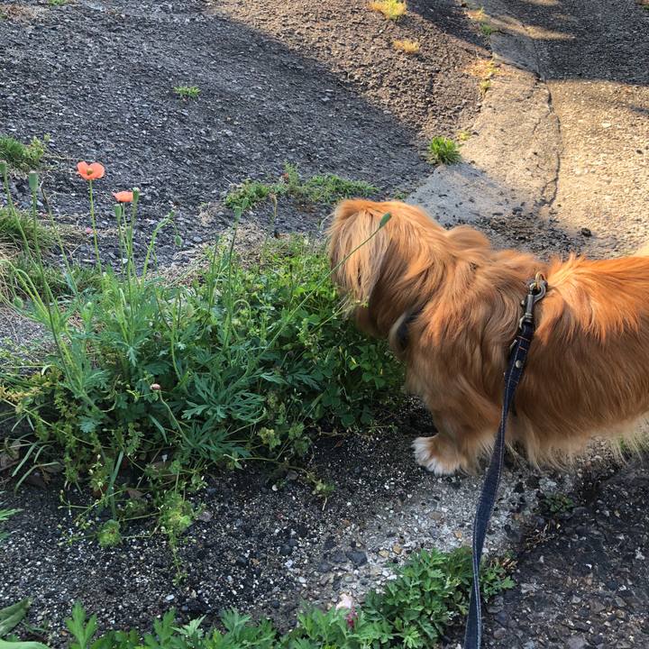 452ca9f2 8a6d 465b b536 9dc03b344b41 1525394781954