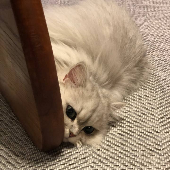 452d0b2a ecbb 46ef 99c0 6d004fc82289 1553258568304