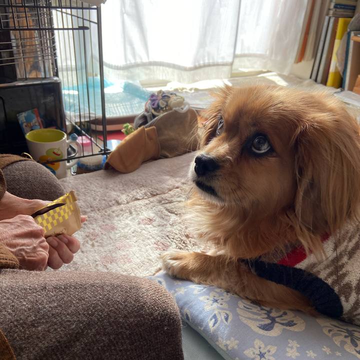 452d9e77 19a1 4446 b164 06b76351275d 1609549974946