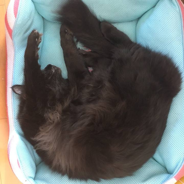 452da51f 40ba 46b3 b06d e171aa9e5550 1518759896669