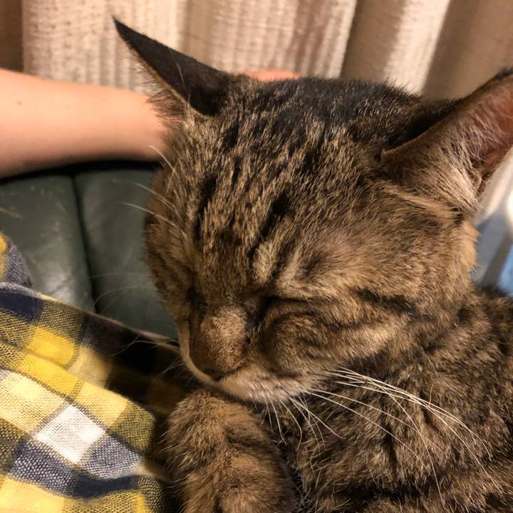 452dc082 dd6c 4191 92fe 4cac3d2e2280 1561209566115