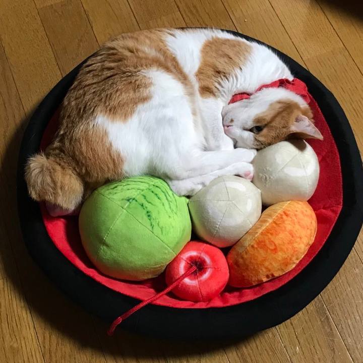 452dc0a9 2cca 4431 82d8 88247e08d03d 1625228929125