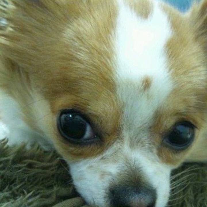 452dca5f 7a6d 4978 95c9 d699fae96b46 1591436840863