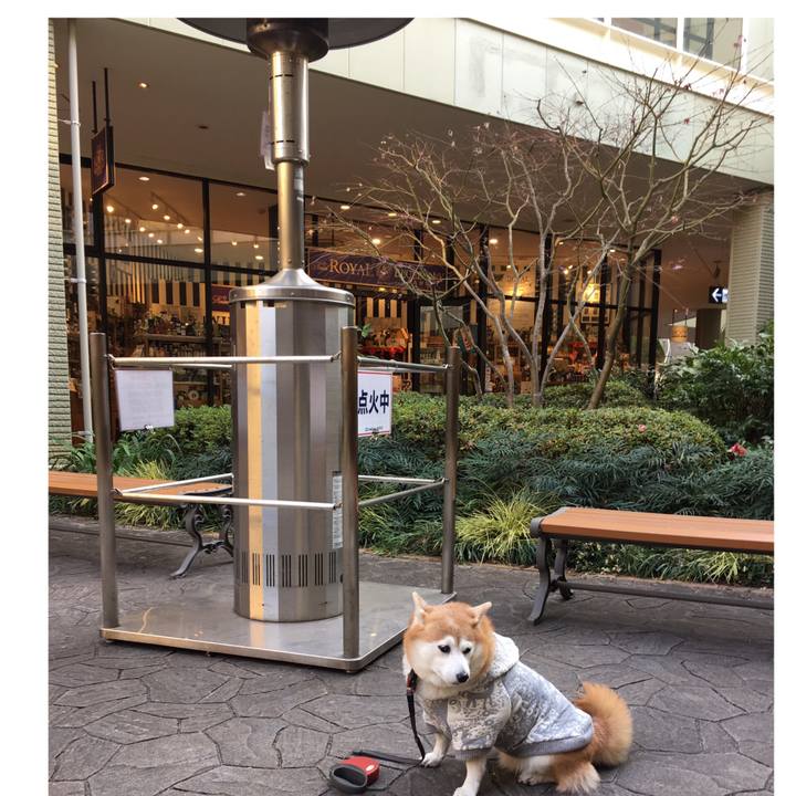 452e3d93 4b14 457f a28b 021e9120e77b 1548841015909