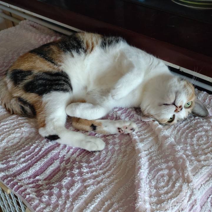 452e72f7 3d77 4a92 bcb6 a36deda8dad2 1679201812980