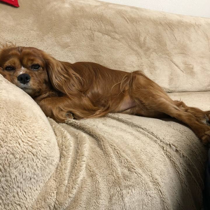 452e8188 7b59 474e 8ce9 6121d48d1e4e 1585866478725